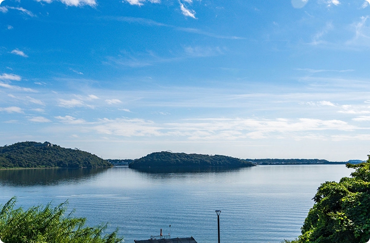 最適な環境で育つ浜名湖うなぎ