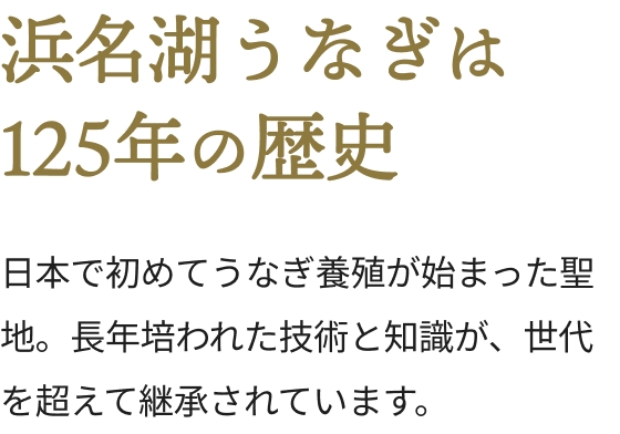 浜名湖うなぎは125年の歴史。日本で初めてうなぎ養殖が始まった聖地。長年培われた技術と知識が、世代を超えて継承されています。