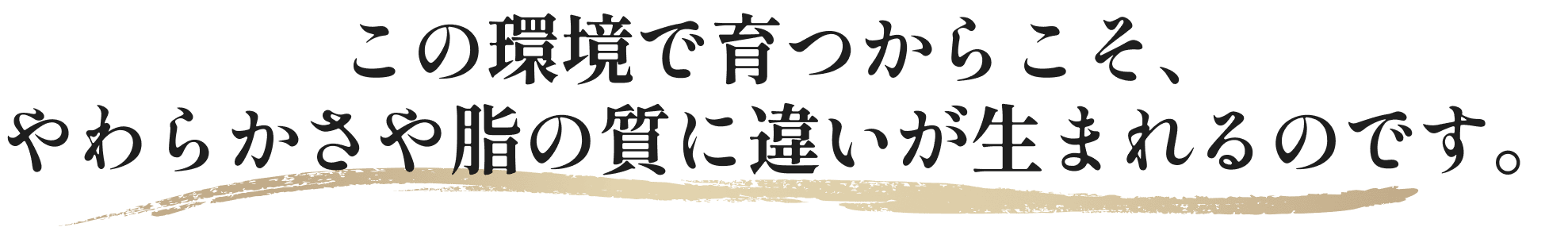 この環境で育つからこそ、やわらかさや脂の質に違いが生まれるのです。