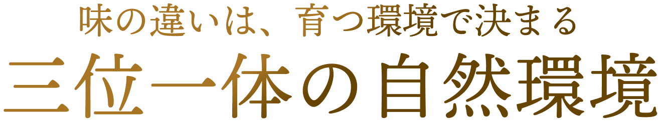 味の違いは、育つ環境で決まる。三位一体の自然環境