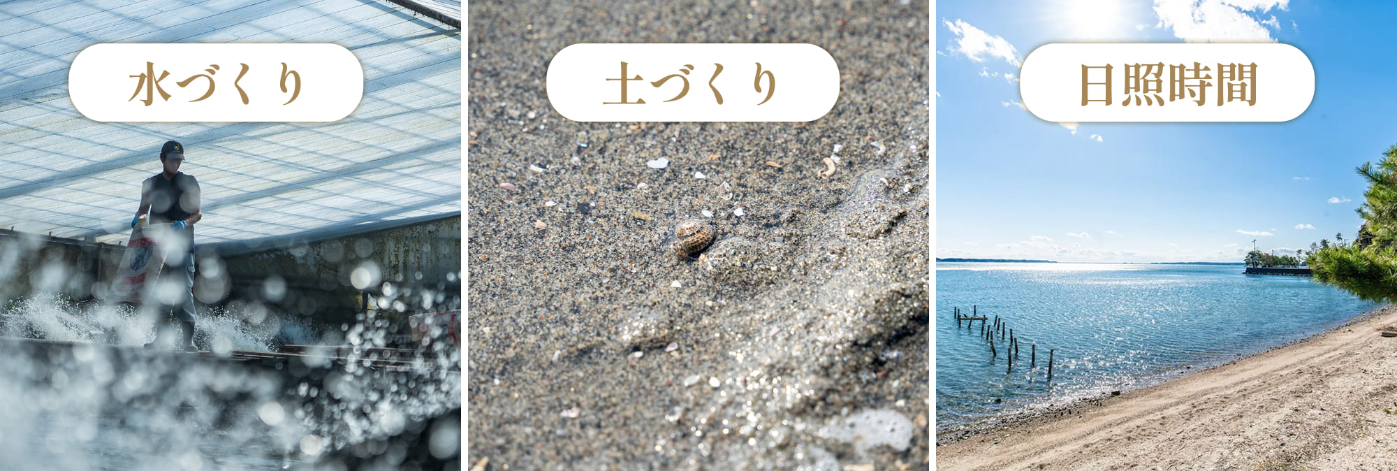 水づくり、土づくり、日照時間