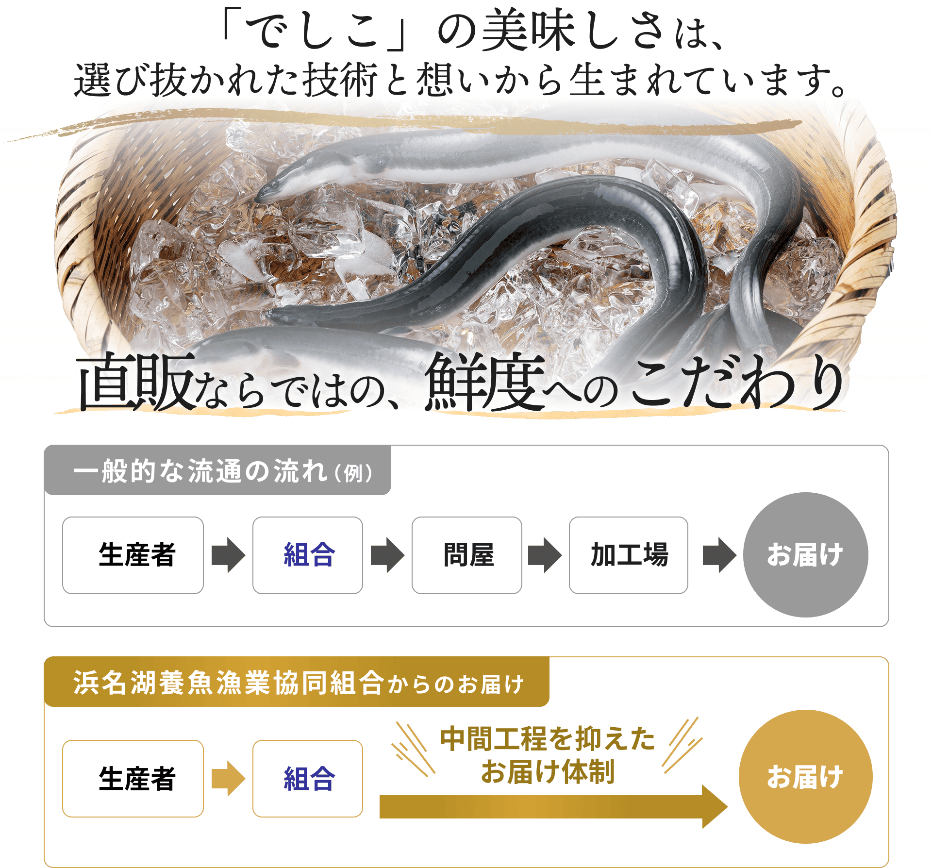 「でしこ」の美味しさは、選び抜かれた技術と想いから生まれています。直販ならではの、鮮度へのこだわり。浜名湖養魚漁業協同組合から、中間工程を抑えたお届け体制
