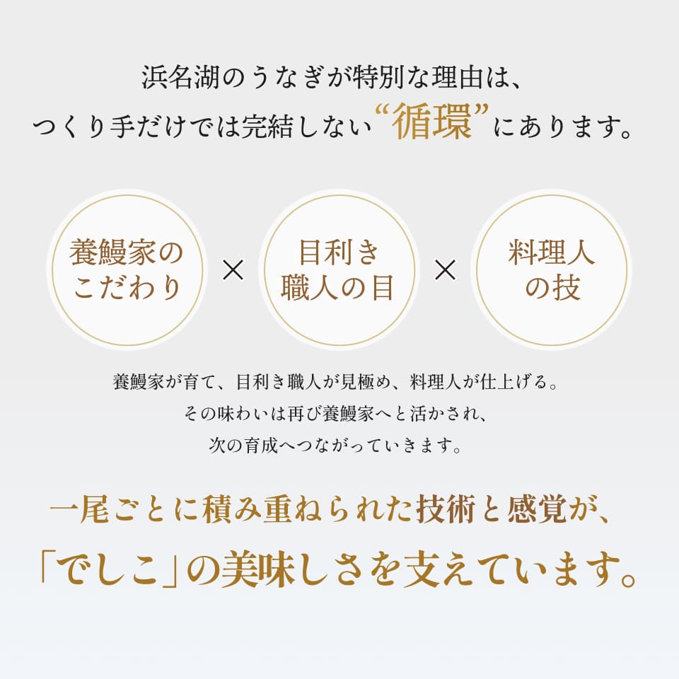 浜名湖のうなぎが特別な理由は、つくり手だけでは完結しない“循環”にあります。養鰻家のこだわりX目利き職人の目X料理人の技。養鰻家が育て、目利き職人が見極め、料理人が仕上げる。その味わいは再び養鰻家へと活かされ、次の育成へつながっていきます。一尾ごとに積み重ねられた技術と感覚が、「でしこ」の美味しさを支えています。