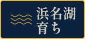 浜名湖育ち