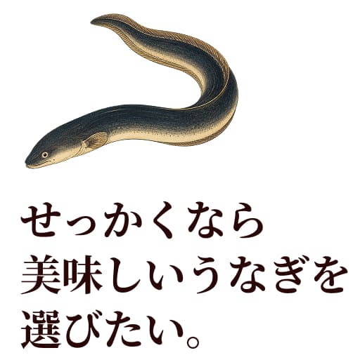 せっかくなら美味しいうなぎを選びたい。