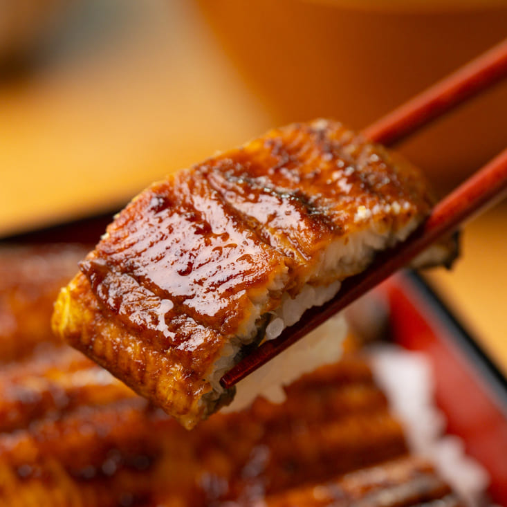 でしこ 蒲焼き 五尾