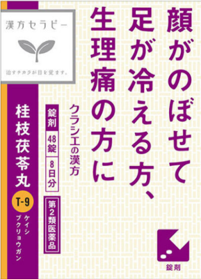 【第2類医薬品】桂枝茯苓丸　48錠