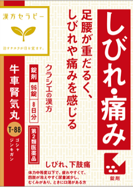 【第2類医薬品】牛車腎気丸