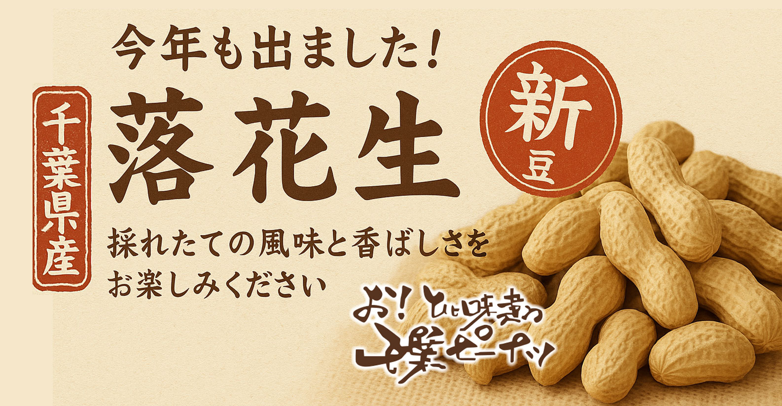 新豆入荷
