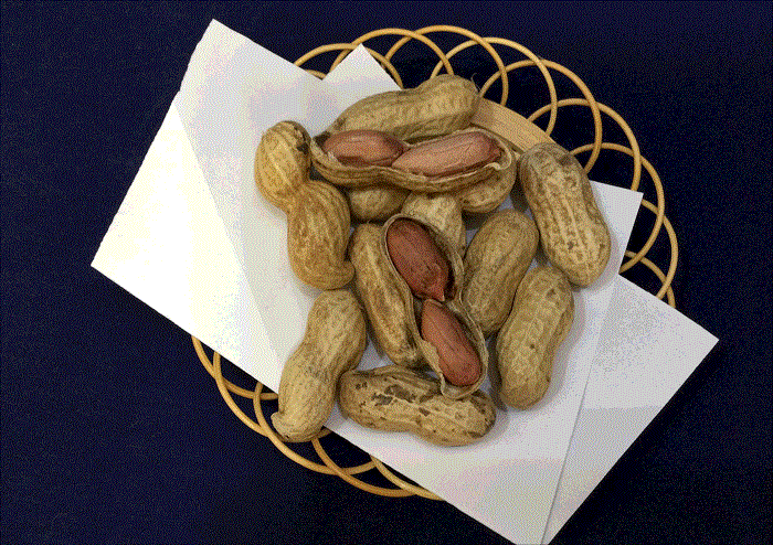 ナカテユタカ 350g | 千葉ピーナツ鎌ヶ谷店