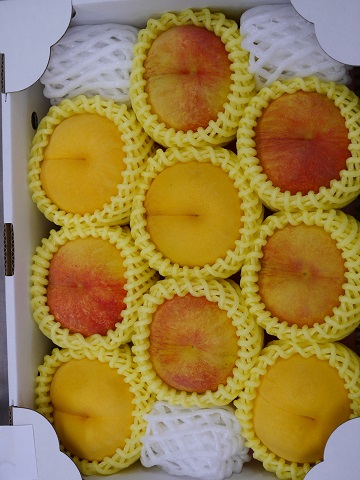 金－6 黄金桃 約3kg | 滝口観光オンライン