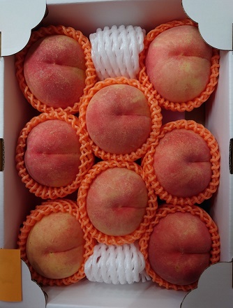 プレミアム〔特撰川中島白桃〕約3kg | 滝口観光オンライン