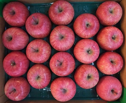 早－2 りんご「早生ふじ」 約10㎏ | 滝口観光オンライン