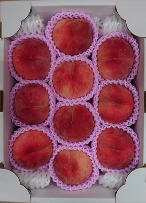 金－6 黄金桃 約3kg | 滝口観光オンライン