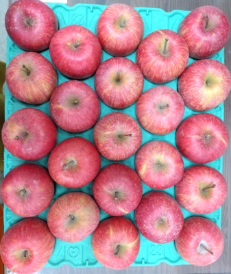 サンふじりんご 約10ｋｇ 46玉