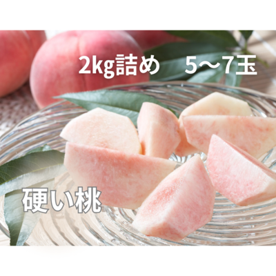 【8月後半からの発送　硬い桃！】2㎏詰め　5～7玉
