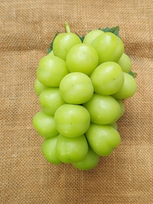 ネヅノハタケ | nezunohatake : 葡萄 | 山梨