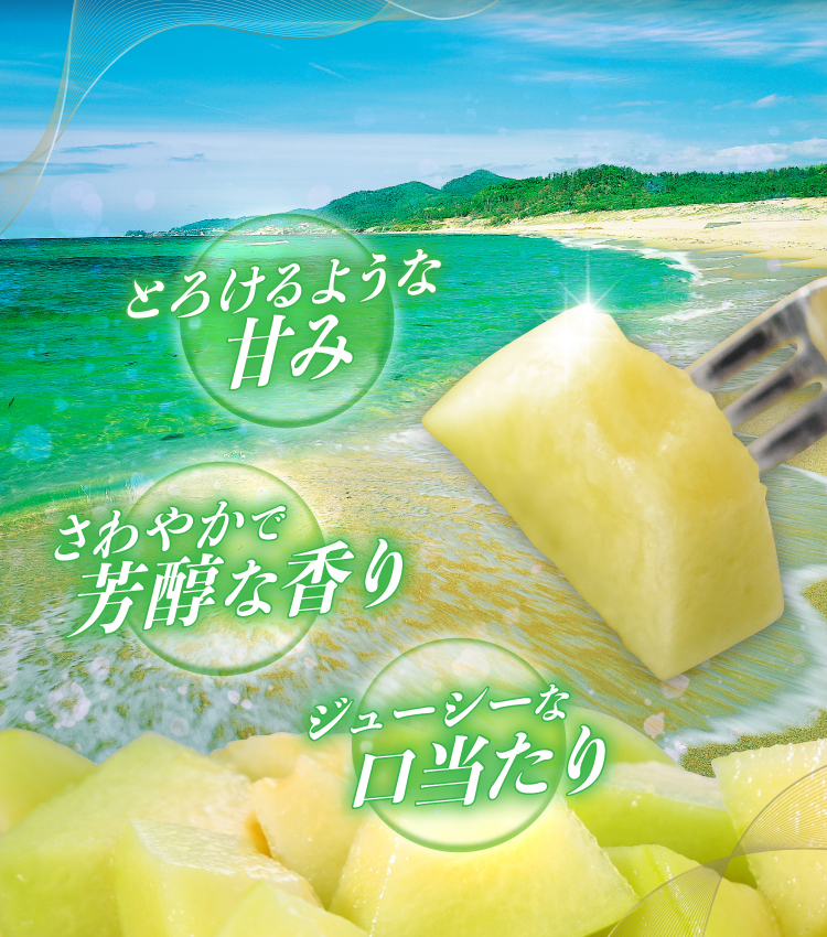 琴引メロン