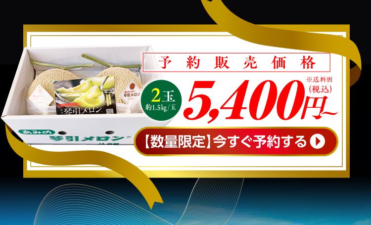 琴引メロン