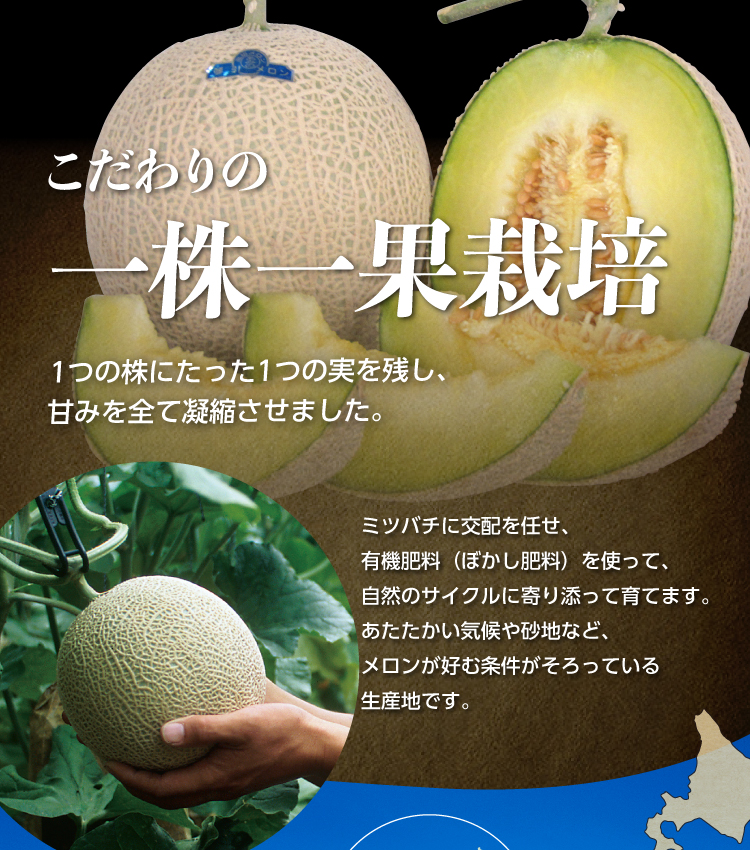 琴引メロン