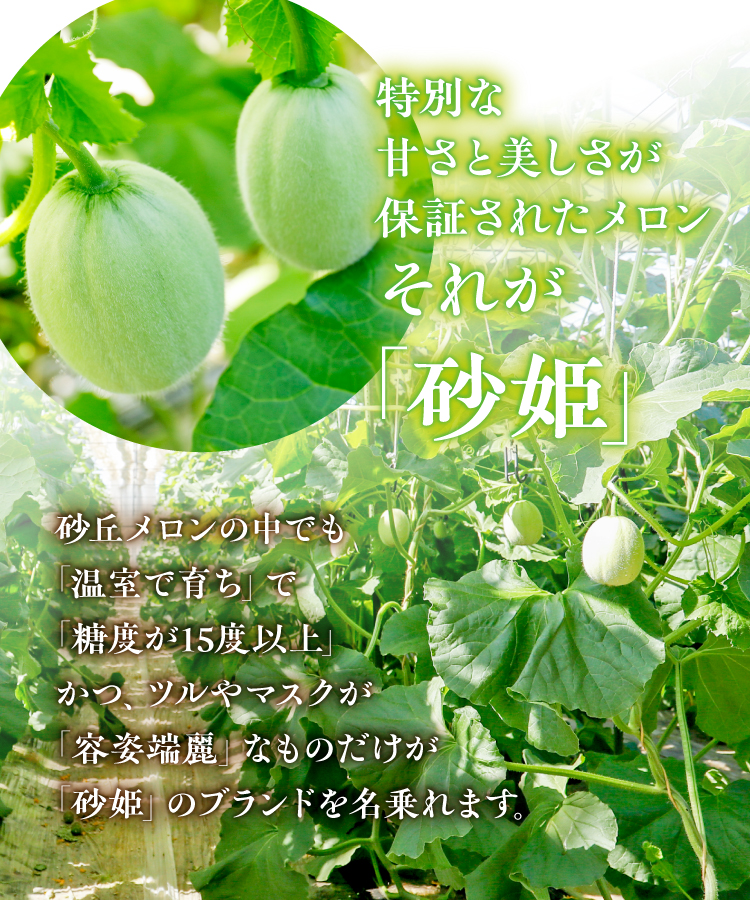 砂姫メロン