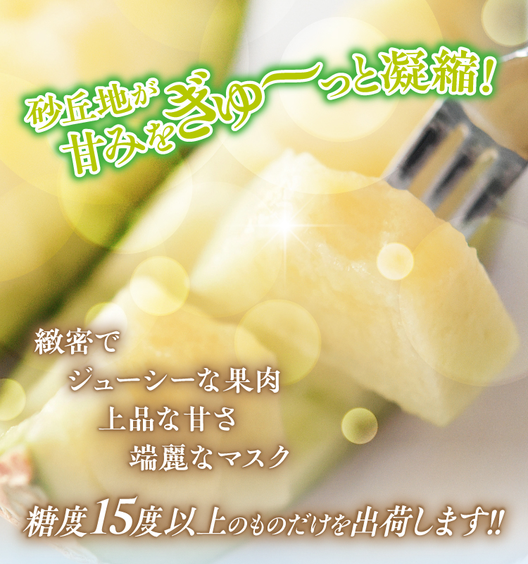 砂姫メロン