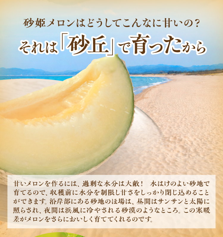 砂姫メロン