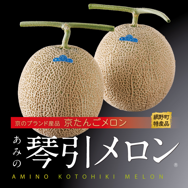 琴引メロン 2玉入り | JA京都