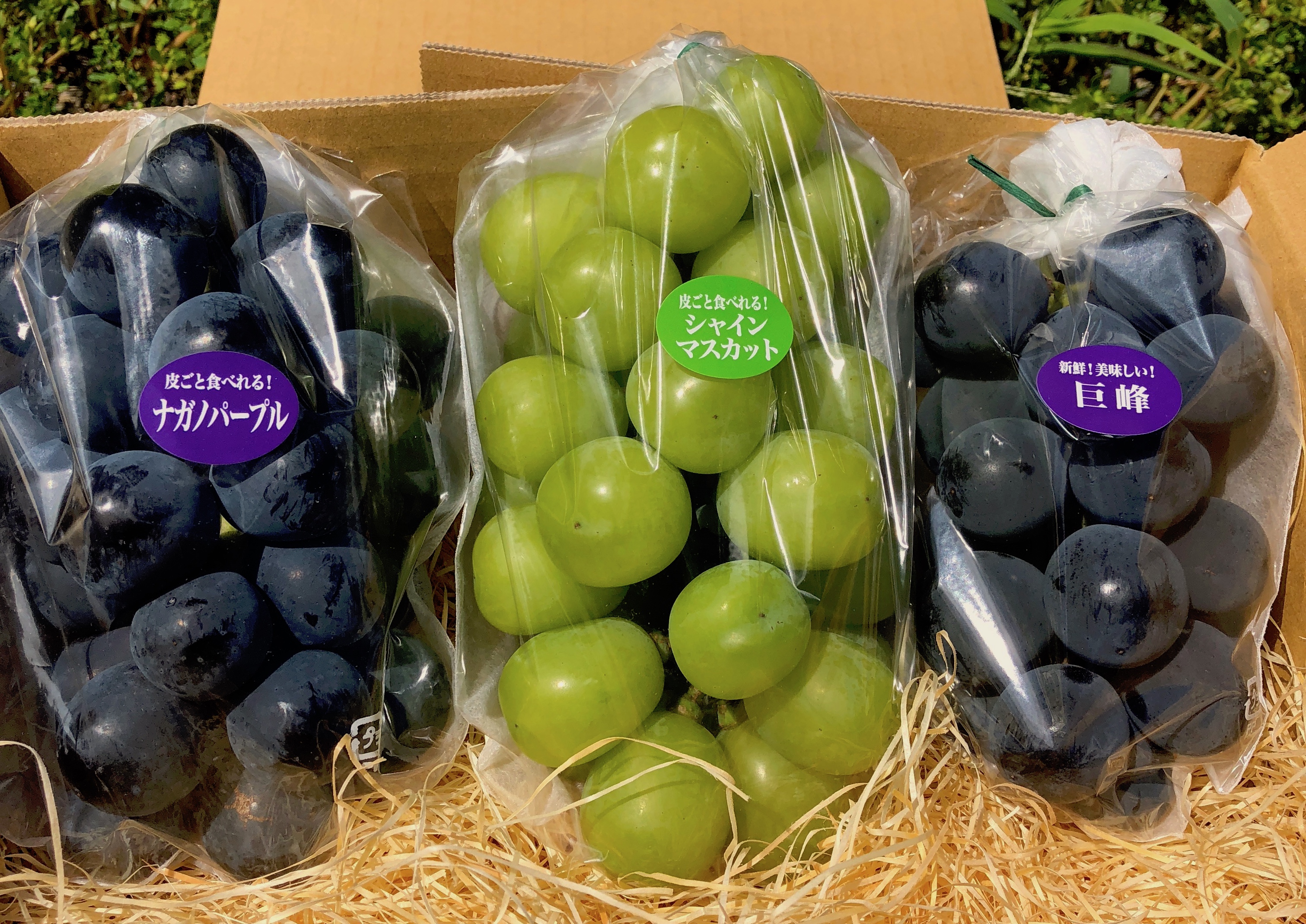 中山ぶどう園 生坂村