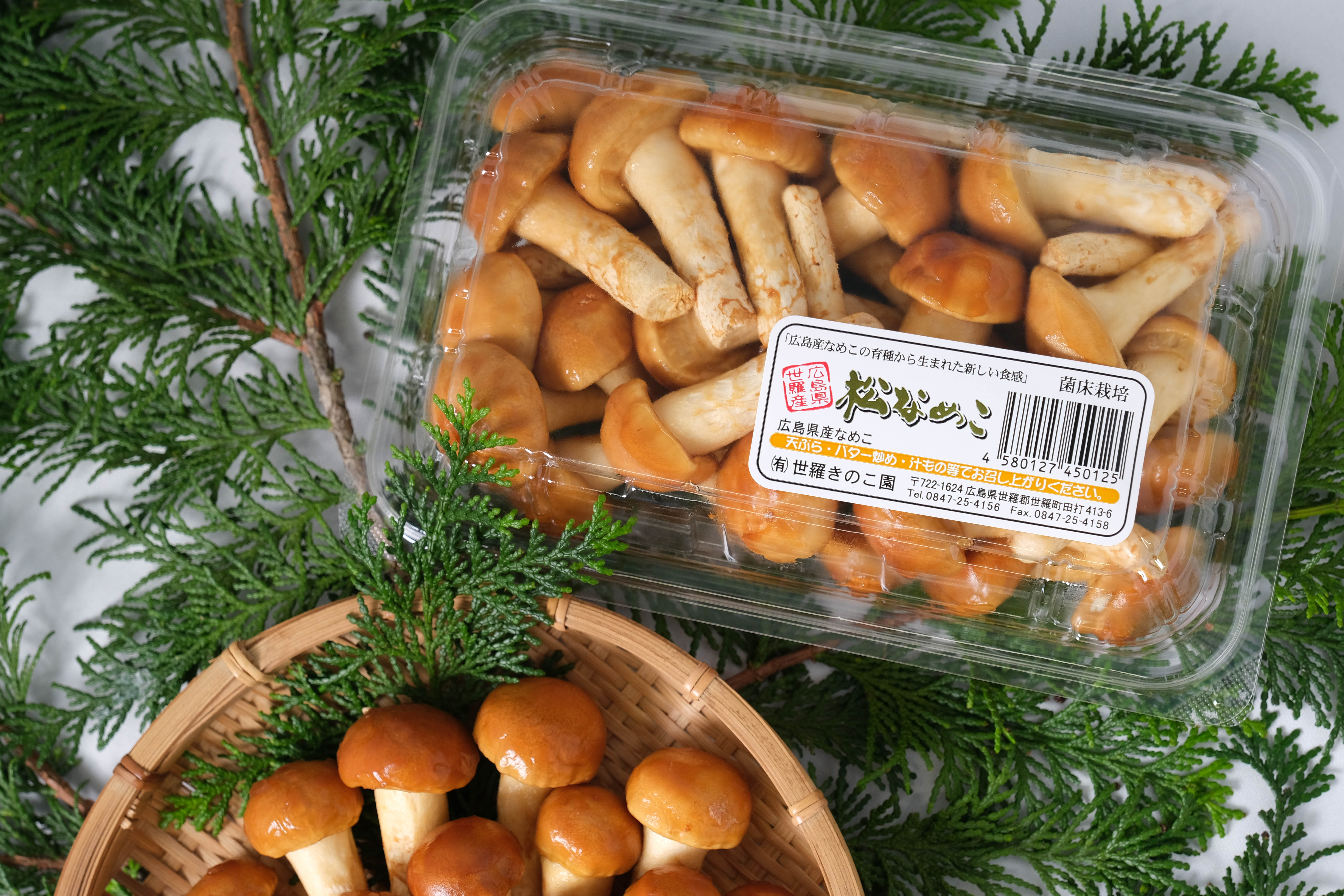 お徳用】松なめこ バラ 1kg | 世羅きのこ園