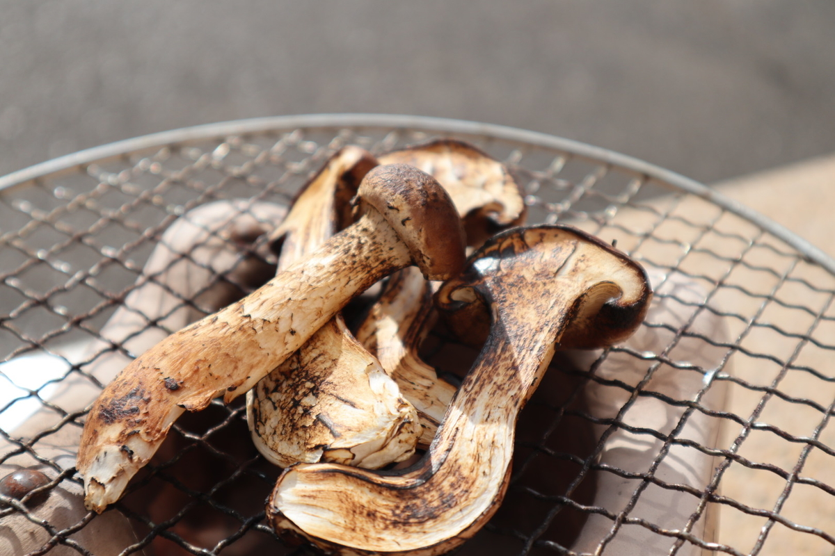 お徳用】松きのこ バラ 200g | 世羅きのこ園