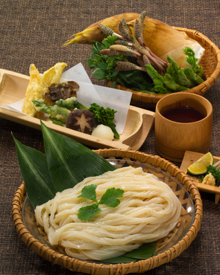 さぬきの最高人気メニュー9種類を再現した純生うどん！6人前～だし付き　賞味期限:7日　