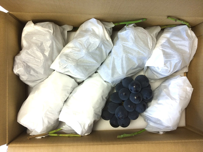 巨峰４Ｋｇ