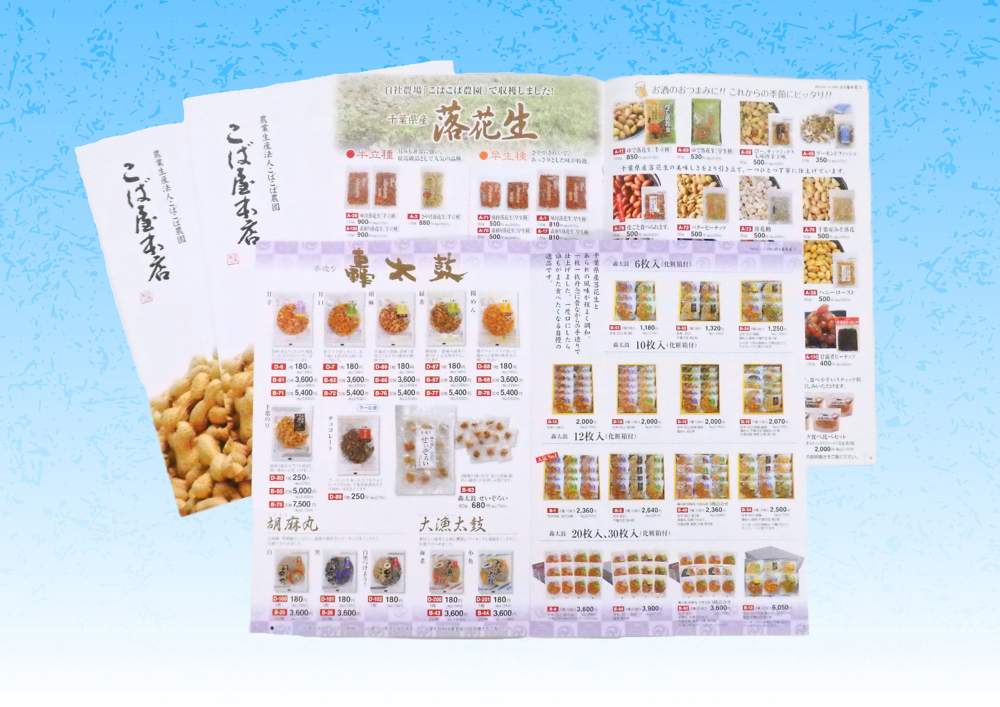 こば屋 2026年夏季カタログ