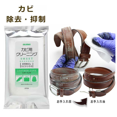 レザーキュア カビ用 クリーニングシート 10枚入り 汚れ落とし 黴 菌 除去 皮 靴 くつ 革 鞄 拭き取り 冬物 夏物 防具 掃除