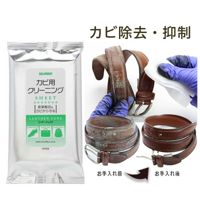 レザーキュア カビ用 クリーニングシート 10枚入り 汚れ落とし 黴 菌 除去 皮 靴 くつ 革 鞄 拭き取り 冬物 夏物 防具 掃除 雨 梅雨