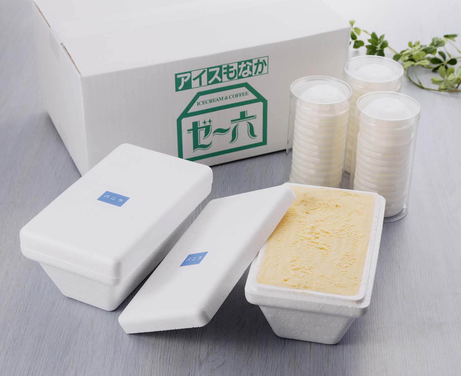 アイス 1Lx2 もなか付き 21組セット バニラシリーズ 【送料