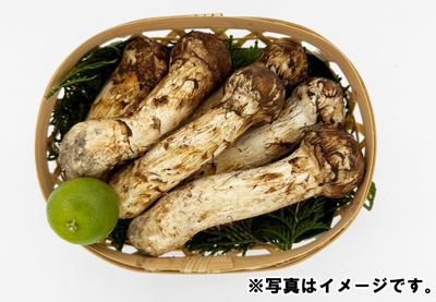 【期間限定】ご家庭用ツボミセット(300g)