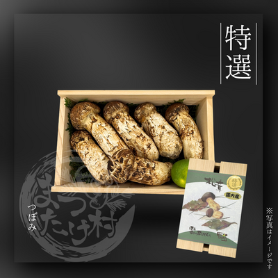 取扱量日本一 国内産松茸専門問屋