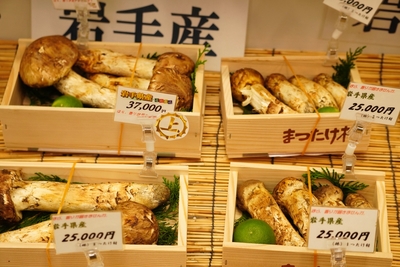 松茸まとめ売りセット1080g