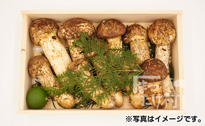 ＜特上＞おまかせセット（550g以上）