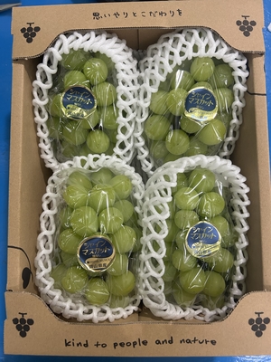 特選シャインマスカット３〜５房