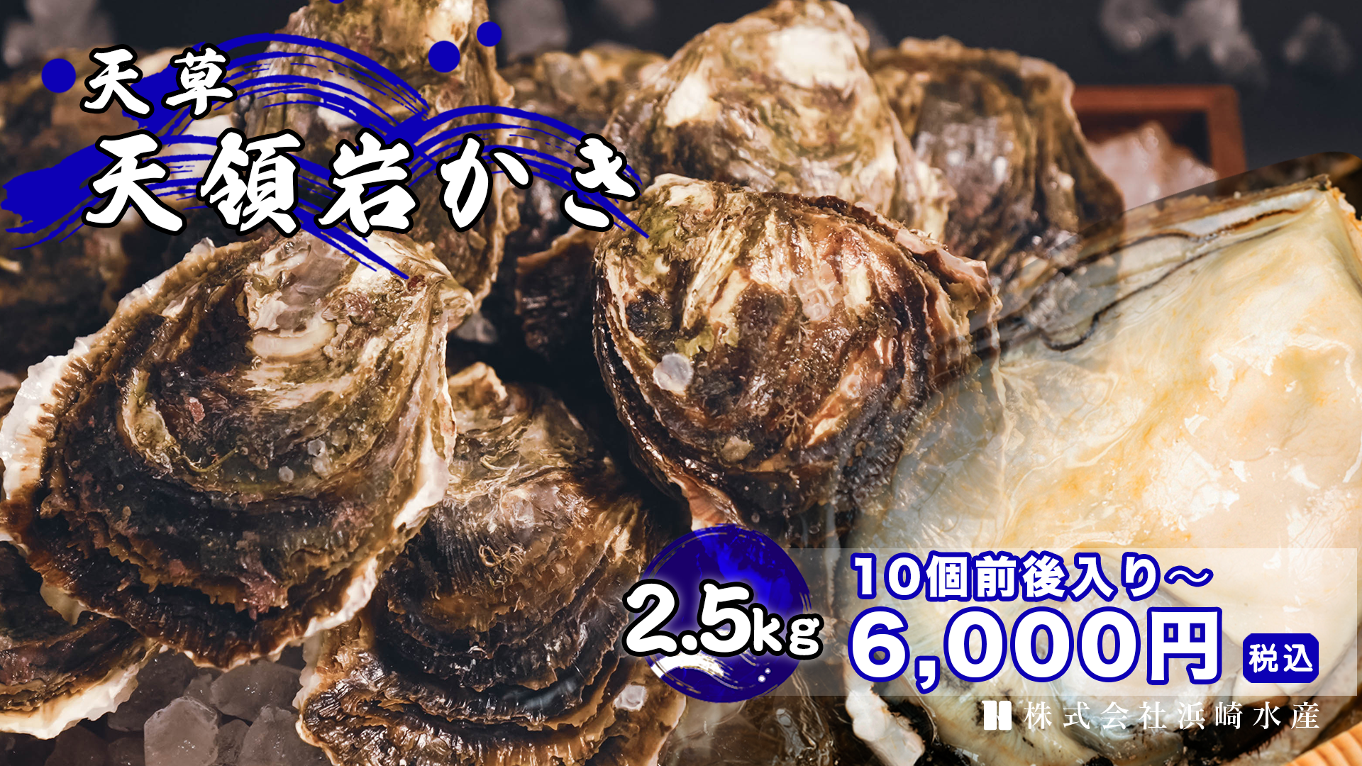 天草天領岩かき2.5kg入(10個前後） | 浜崎水産公式通販