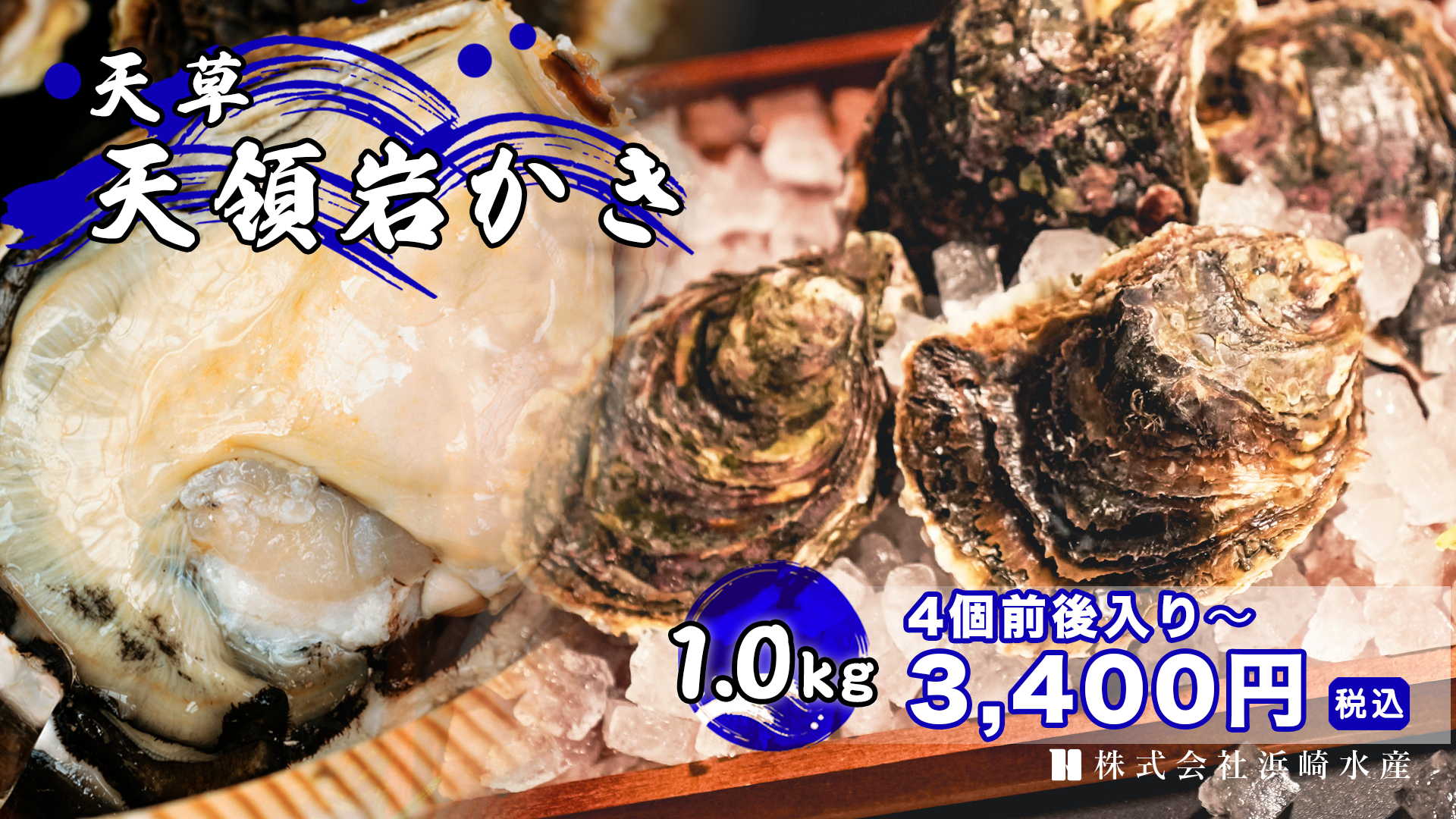 天草天領岩かき1kg入(4個前後） | 浜崎水産公式通販