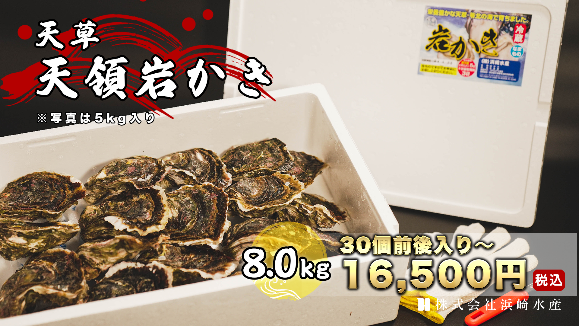 南房総産　天草　訳あり　8キロ 天草天領岩かき8kg入(30個前後） | 浜崎水産公式通販