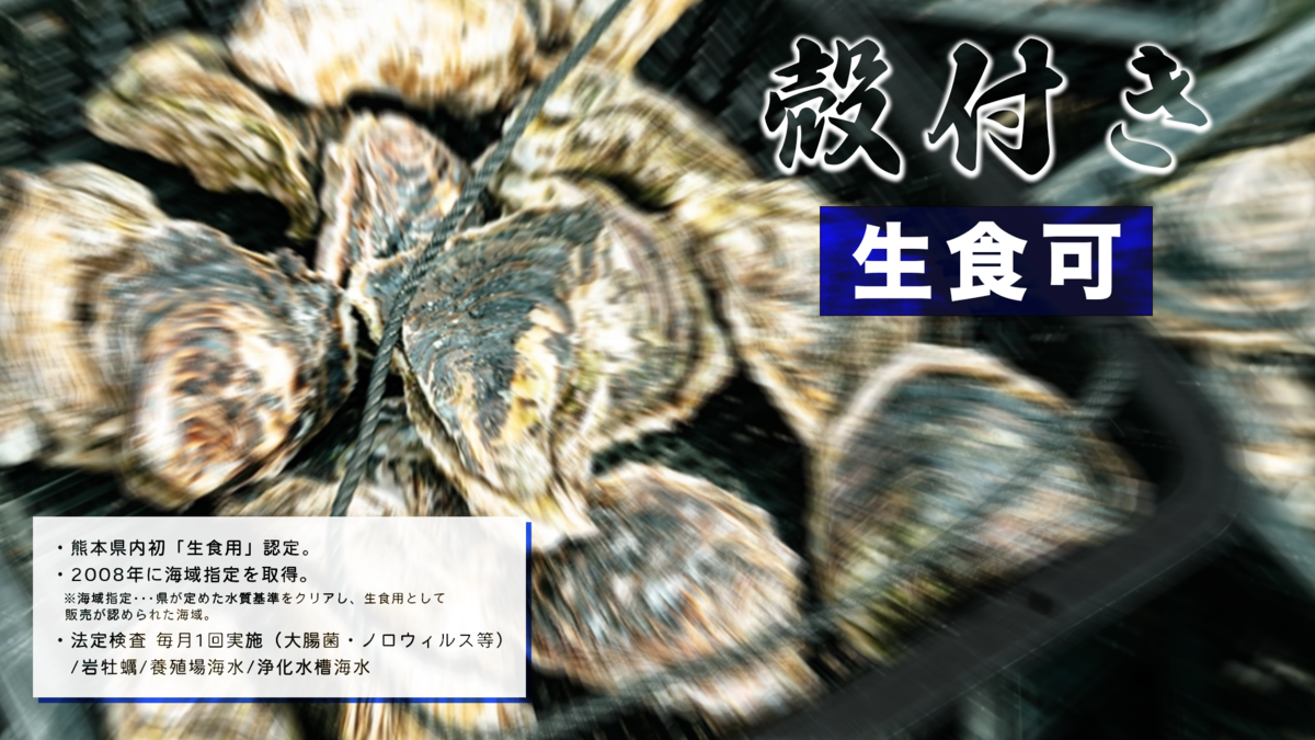 天草天領岩かき8kg入(30個前後） | 浜崎水産公式通販