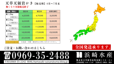 天草天領岩かき8kg入(30個前後） | 浜崎水産公式通販