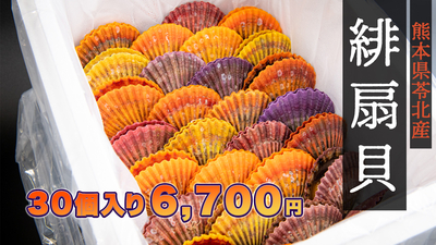 緋扇貝30個入
