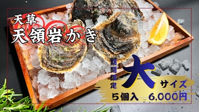 天草天領岩かき 大サイズ(5個入)