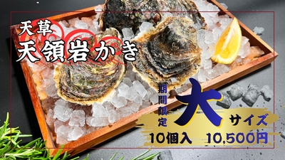天草天領岩かき 大サイズ(10個入)